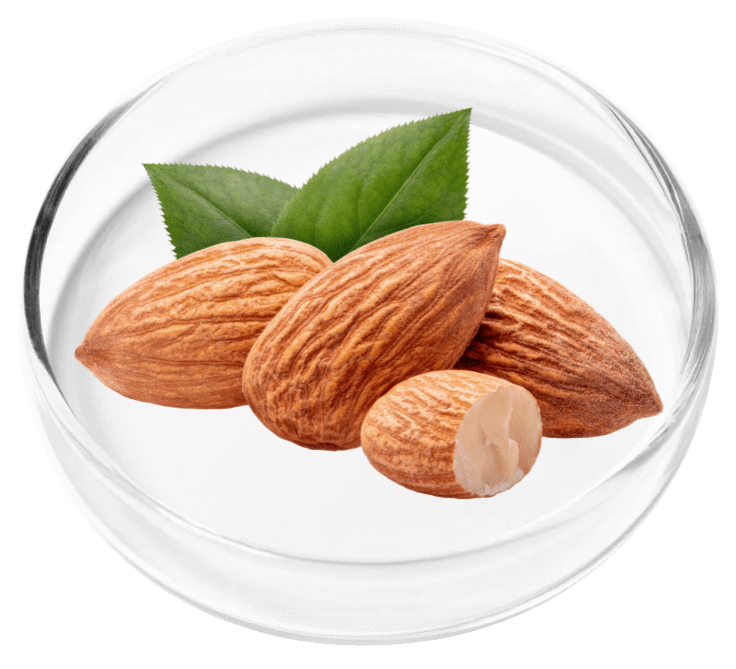 ingredient3