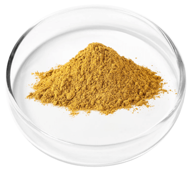 ingredient5 - Copia