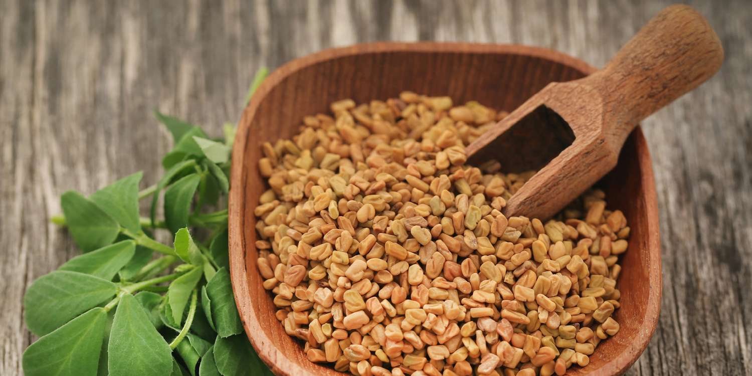 what-is-fenugreek-2x1-c3bfc694fad948ebb1364819e6a240d4