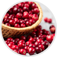 cranberry
