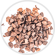 pine-bark-extract